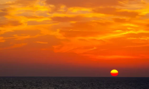 🌟 ONLY THE SAVIOR CAN PROVIDE SALVATION: Truth Salvation Eternal Life| Master Woo Myung | Santa Clara Meditation