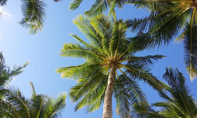 🌈 After Death, Will Life Be the Same? Living in the Land of Truth | Master Woo Myung | Santa Clara Meditation