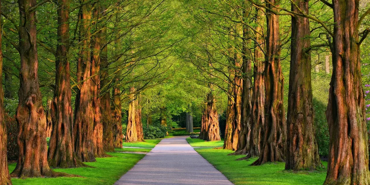 🔍✨ WHAT IS SIN?: Living Outside the Universe Mind | MASTER WOO MYUNG | SANTA CLARA MEDITATION