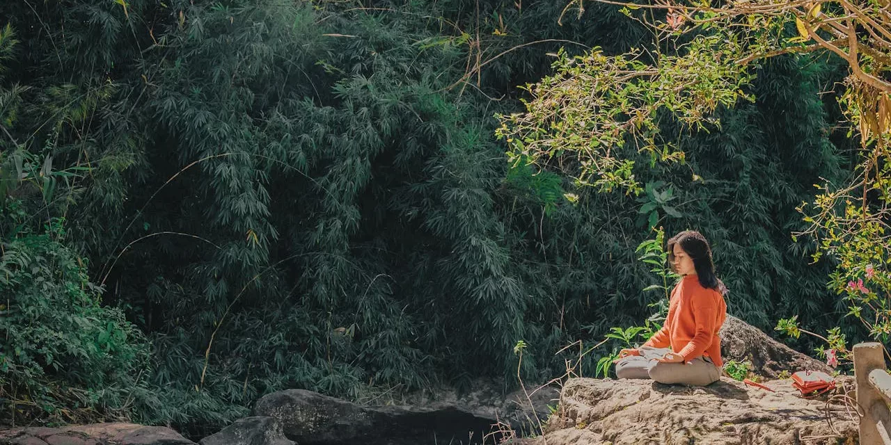 🔮 CAN YOU GIVE ME SOME ADVICE ON SELF-DISCOVERY?: Born Again in Truth | MASTER WOO MYUNG | SANTA CLARA MEDITATION