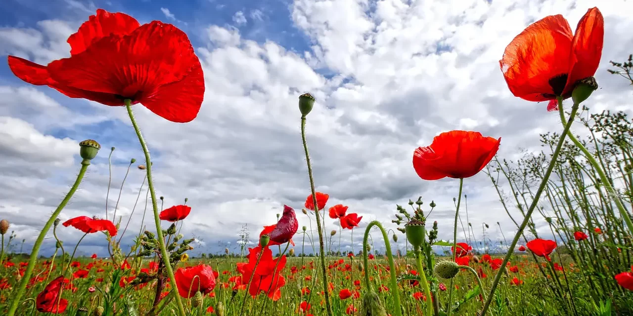 ✨ WHAT IT MEANS WHEN SOMETHING IS CALLED HOLY OR DIVINE: The Soul and Spirit That Are the Existence of Truth | MASTER WOO MYUNG | SANTA CLARA MEDITATION