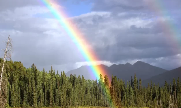 🌞 What Are Heresies and Cults? Understanding Real vs. False Paths | Master Woo Myung | Santa Clara Meditation