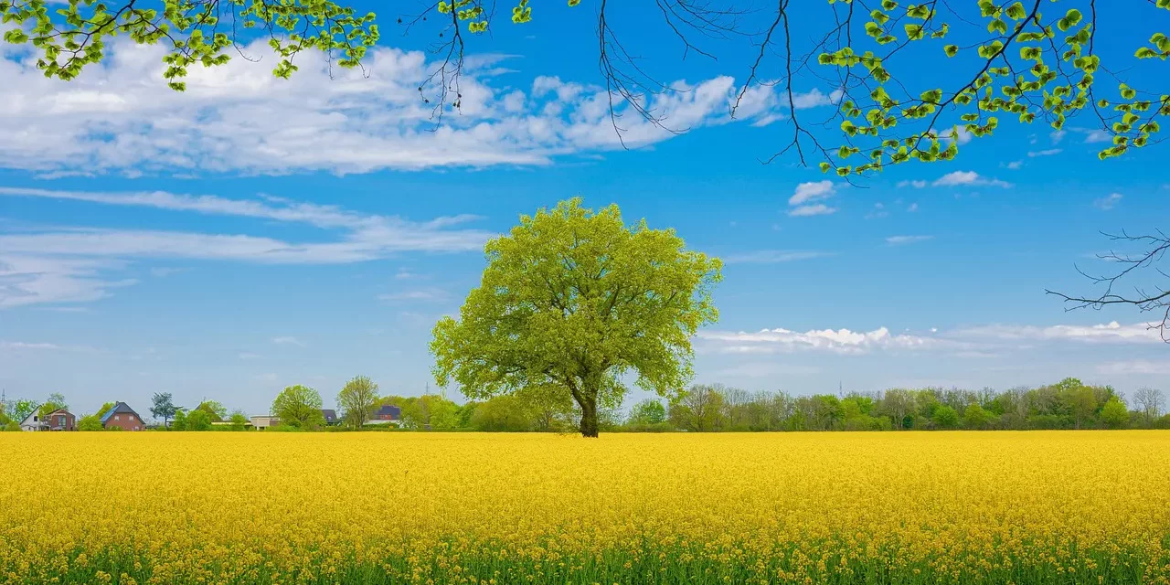 🌤️ Heaven and Hell: Awakening from the False World to the Land of Truth | Master Woo Myung | Santa Clara Meditation