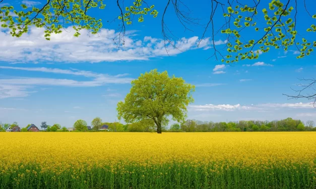 🌤️ Heaven and Hell: Awakening from the False World to the Land of Truth | Master Woo Myung | Santa Clara Meditation