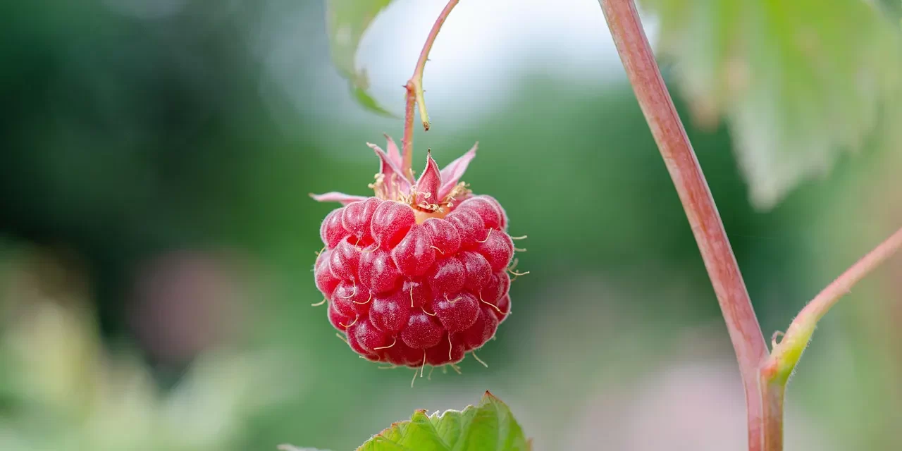 ๐ฟ The Average Person Has No Truth Within | Master Woo Myung | Santa Clara Meditation