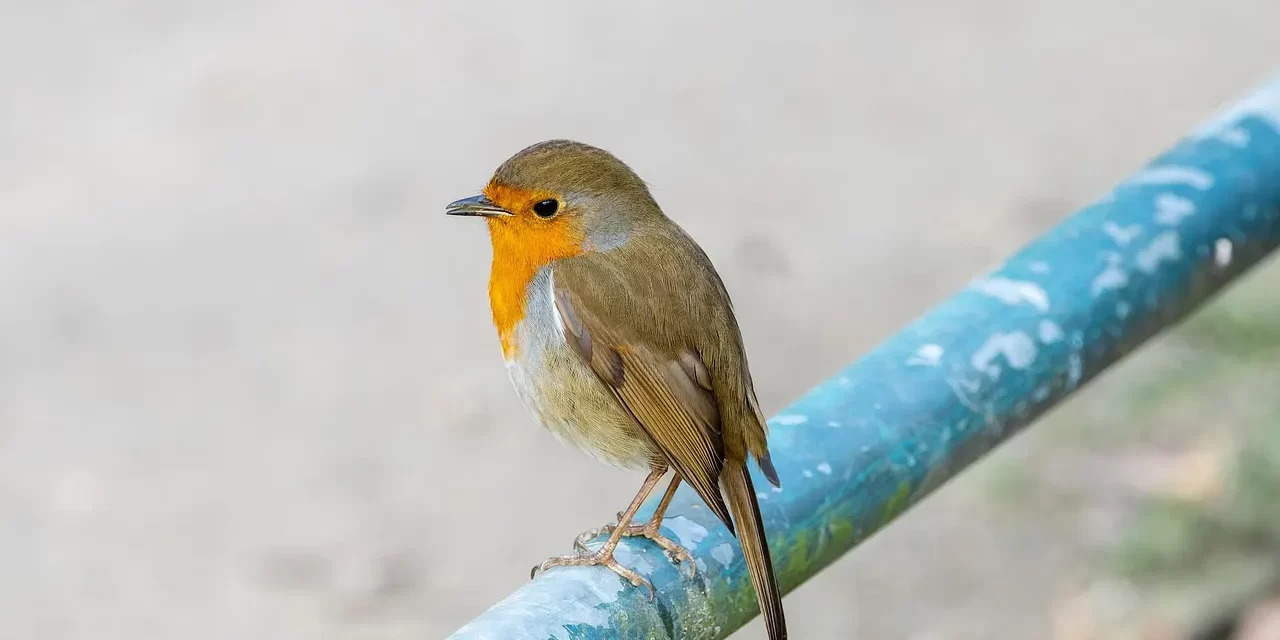 🔗 Oneness: Living as the Whole of Truth in Eternal Heaven | Master Woo Myung | Santa Clara Meditation
