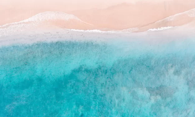 🌠 HOW CAN PEOPLE SEE AND ENTER INTO THE FOUR-DIMENSIONAL WORLD?: Original Body of the Universe | MASTER WOO MYUNG | SANTA CLARA MEDITATION