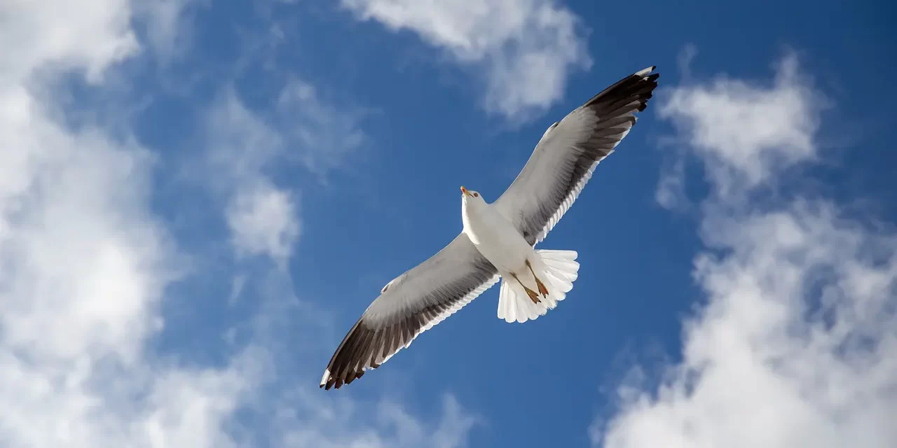 ⚡ Do Not Be Fooled: There Is No Afterlife for Man | Master Woo Myung | Santa Clara Meditation