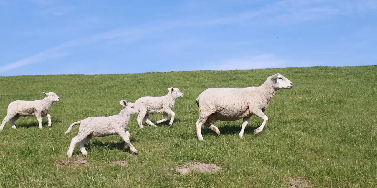 🌟 It Is Impossible to Know a Person from His Outward Appearance: Seeing the Inner Mind of Truth | Master Woo Myung | Santa Clara Meditation