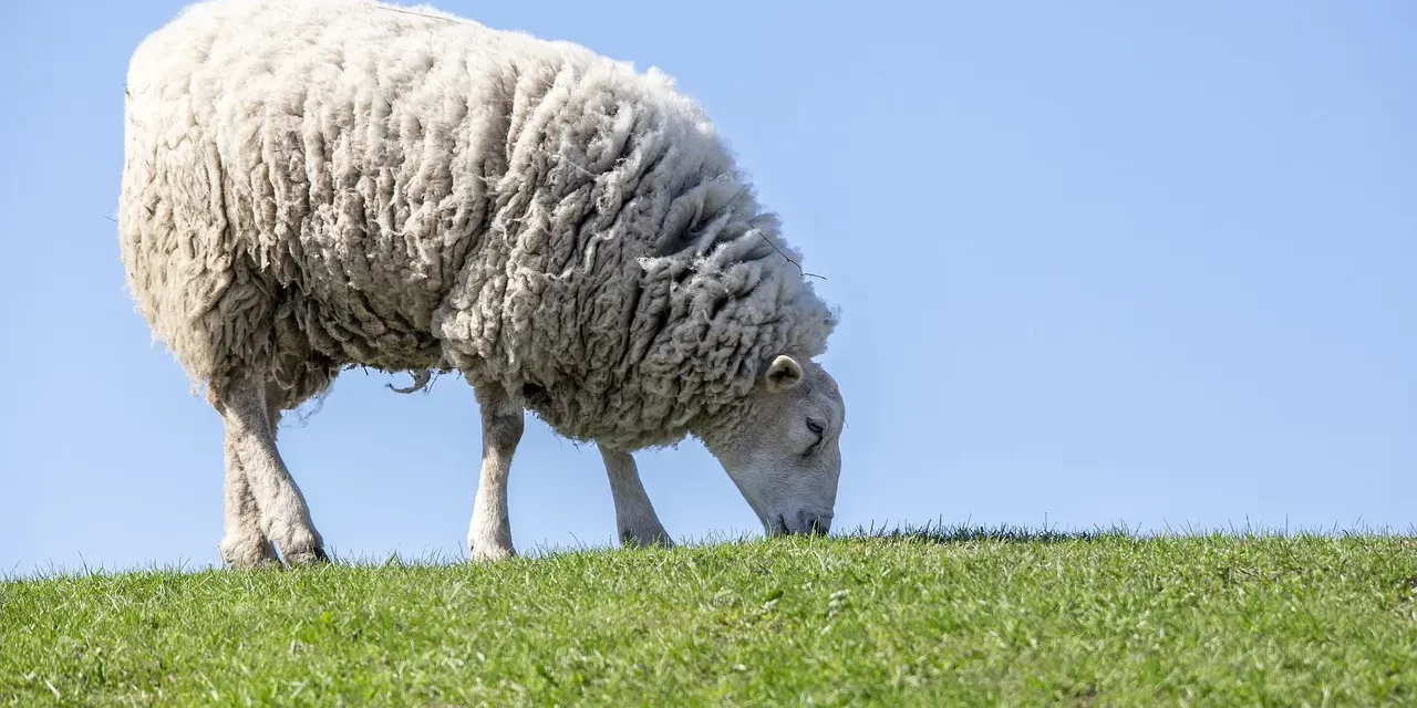 🔮 Are Atoms the Origin of Creation? | Master Woo Myung | Santa Clara Meditation