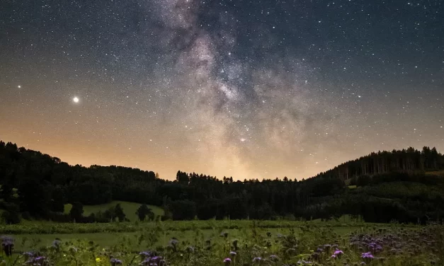 ✨ True and False: Heaven and Hell Defined by Truth | Master Woo Myung | Santa Clara Meditation