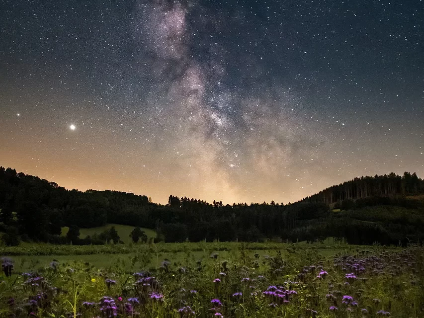 ✨ True and False: Heaven and Hell Defined by Truth | Master Woo Myung | Santa Clara Meditation