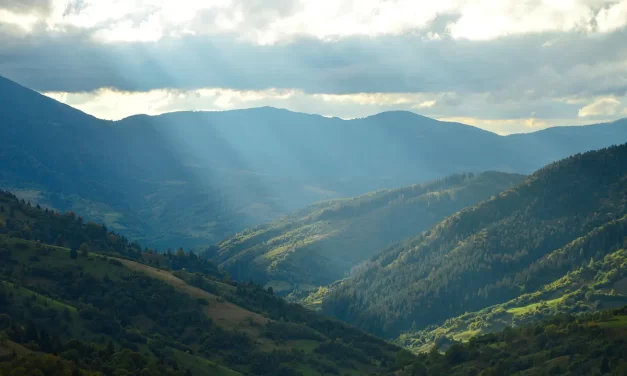 🌿 Nature’s Flow: Becoming Truth and Living as God | Master Woo Myung | Santa Clara Meditation