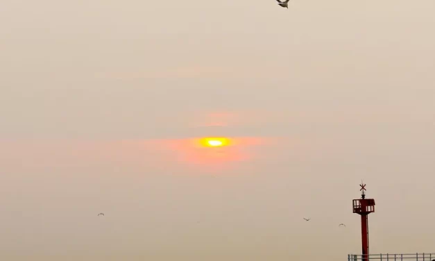 🌞 Only Truth Can Give Birth to Truth: Teaching from the State of Oneness | Master Woo Myung | Santa Clara Meditation