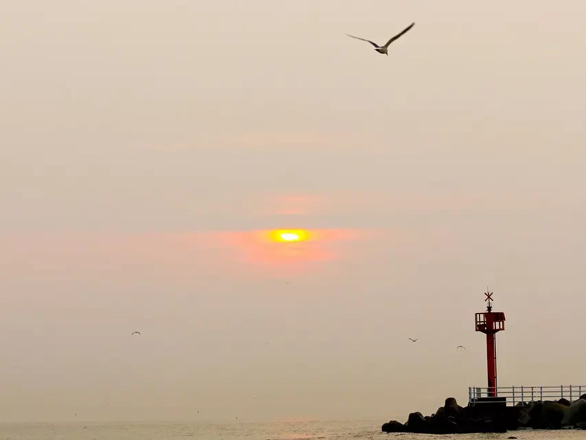 🌞 Only Truth Can Give Birth to Truth: Teaching from the State of Oneness | Master Woo Myung | Santa Clara Meditation