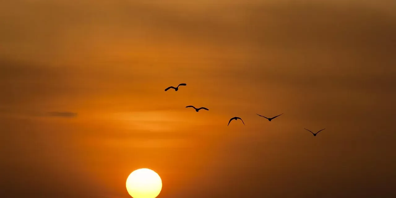 🍀 Logic: The Profound Reason Behind Existence | Master Woo Myung | Santa Clara Meditation