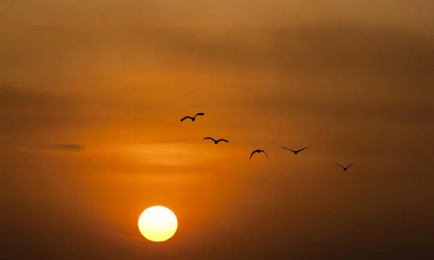 🍀 Logic: The Profound Reason Behind Existence | Master Woo Myung | Santa Clara Meditation