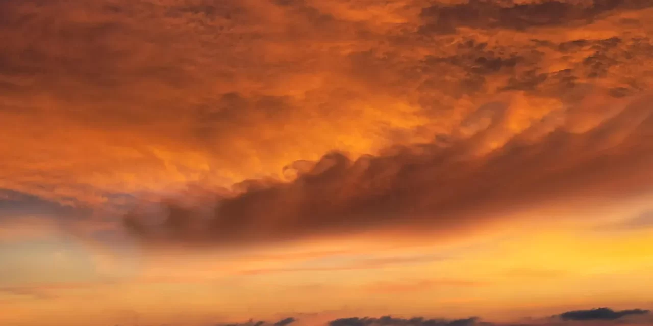 🕊️ PAST LIFE: Shedding Karma and Transforming Destiny | MASTER WOO MYUNG | SANTA CLARA MEDITATION