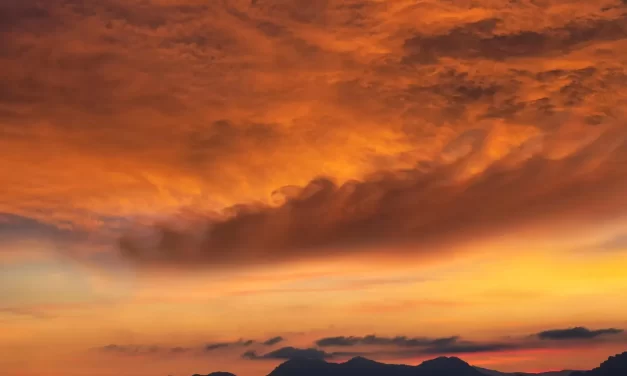 🕊️ PAST LIFE: Shedding Karma and Transforming Destiny | MASTER WOO MYUNG | SANTA CLARA MEDITATION