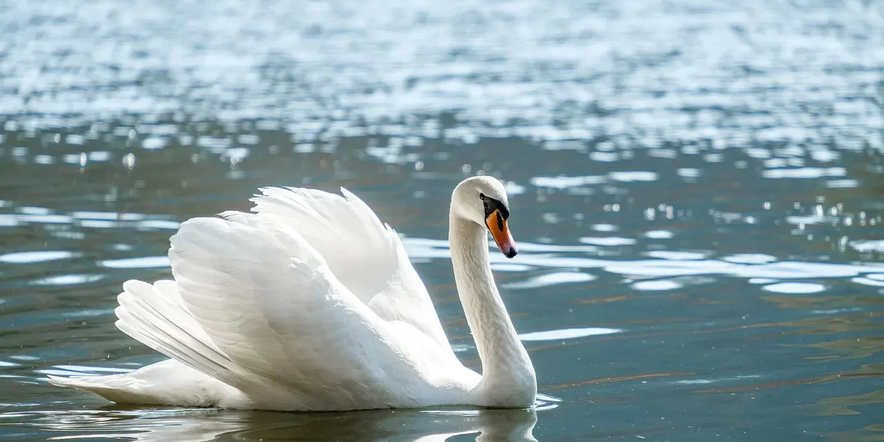 🌄 Truth III: Returning to the Source of Nature | Master Woo Myung | Santa Clara Meditation