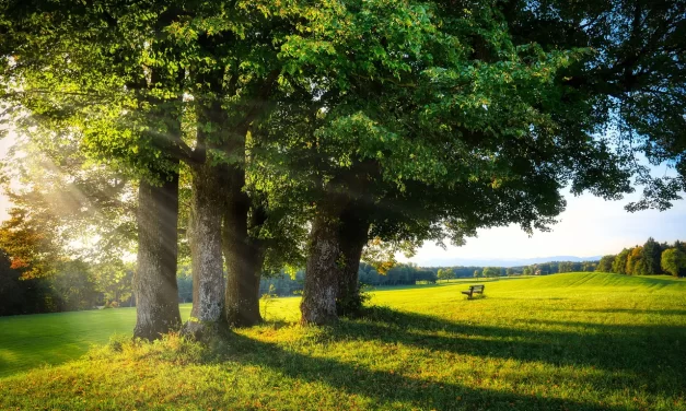 🔍 Possession: False Selves, Delusion, and the Danger of the Mind World | Master Woo Myung | Santa Clara Meditation