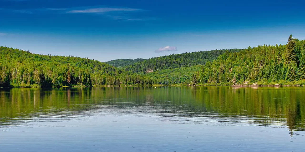 ✨ The True Meaning of Receiving Samadhi and the Third Eye | Master Woo Myung | Santa Clara Meditation