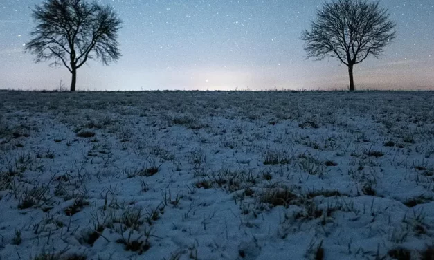 🌿 A Person of Low Caliber: Why Non-Acceptance Blocks Truth | Master Woo Myung | Santa Clara Meditation