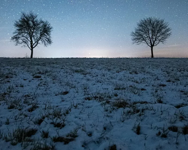 🌿 A Person of Low Caliber: Why Non-Acceptance Blocks Truth | Master Woo Myung | Santa Clara Meditation