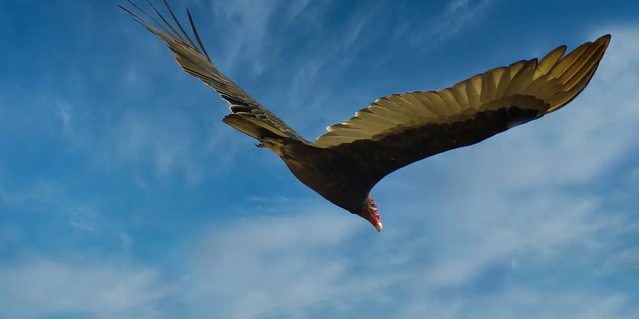 🌌 THE UNIVERSE IS MADE OF A BODY AND MIND: The Great Soul and Spirit That Create All Things | MASTER WOO MYUNG | SANTA CLARA MEDITATION