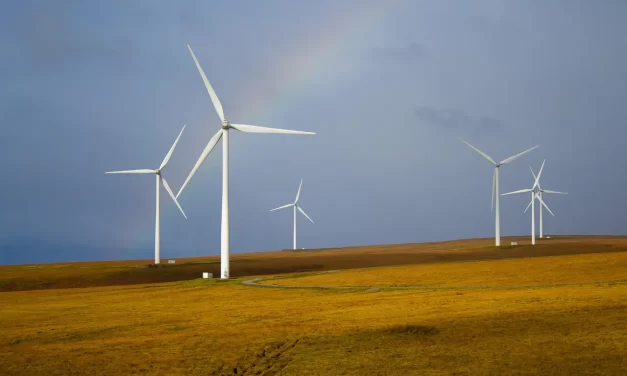 🌬️ Wind II: The World Moves Without Our Judgments | Master Woo Myung | Santa Clara Meditation