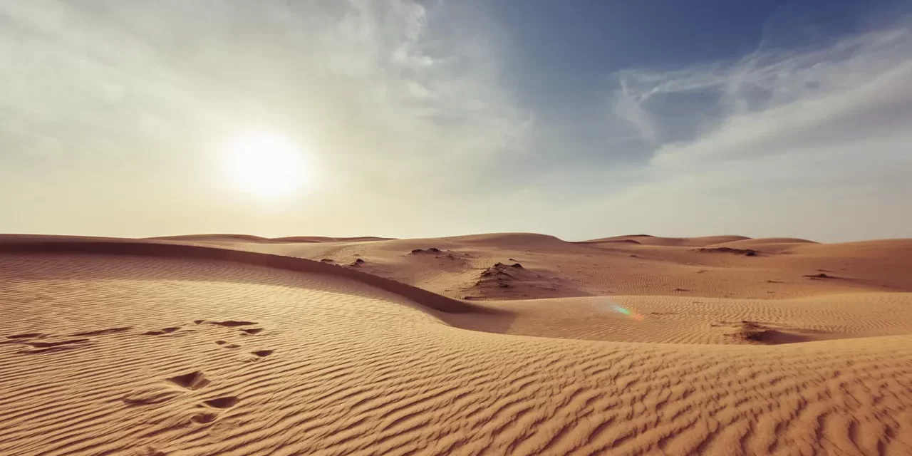 🪨 One’s Place: Finding Truth in Every Grain of the Universe | Master Woo Myung | Santa Clara Meditation