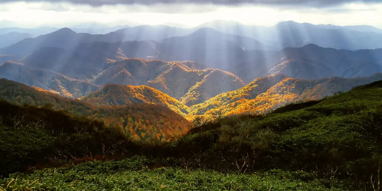 🌙 What Is Pride?: From False Self to Living as Nature | Master Woo Myung | Santa Clara Meditation