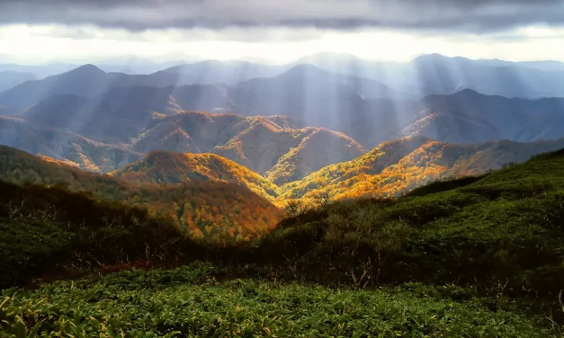 🌙 What Is Pride?: From False Self to Living as Nature | Master Woo Myung | Santa Clara Meditation