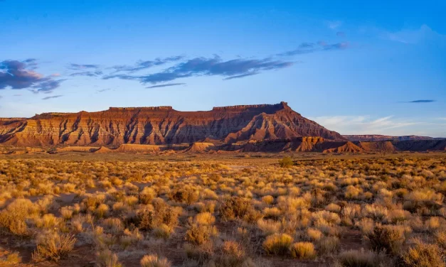 🌌 Falseness II: The Stories Man Creates About Heaven | Master Woo Myung | Santa Clara Meditation