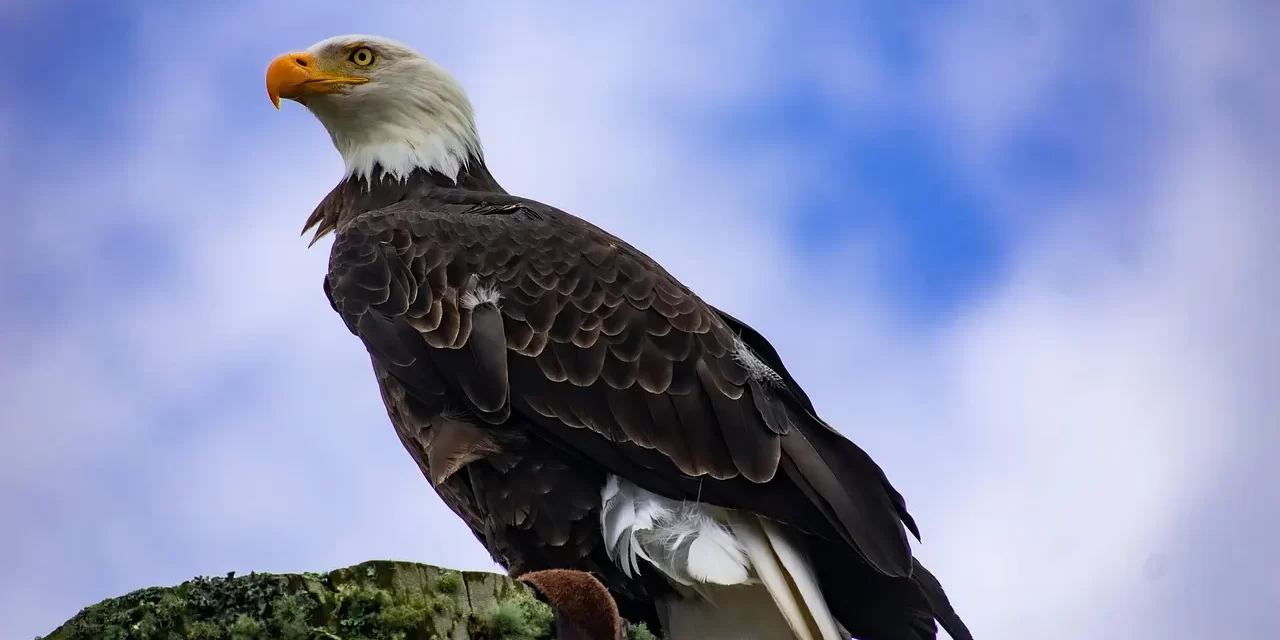 🌱 I Am Struggling Because I Cannot Live in the Present Moment: Escaping the False Mind World | Master Woo Myung | Santa Clara Meditation