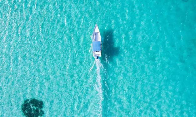 🪷 Bonaventure and the Three Levels of Theology: Why His Assertions Are Not Correct | Master Woo Myung | Santa Clara Meditation