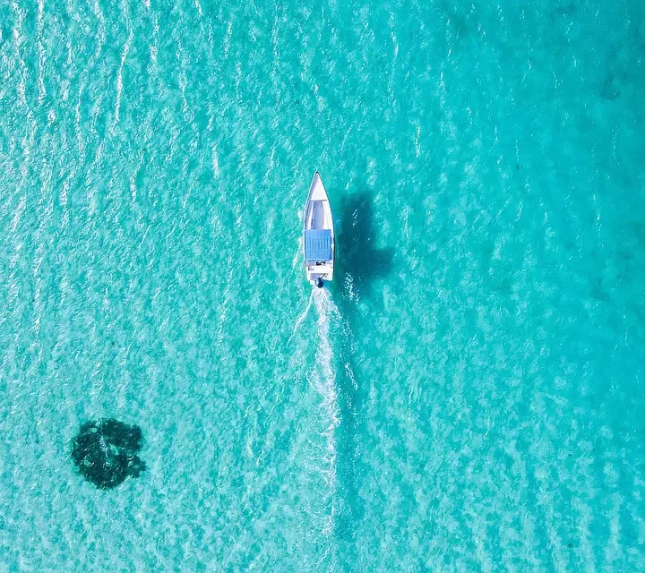 🪷 Bonaventure and the Three Levels of Theology: Why His Assertions Are Not Correct | Master Woo Myung | Santa Clara Meditation