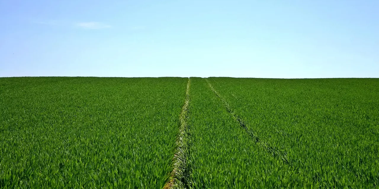 🌓 Yi Hwang vs. Yi Yi: Two or One? Seeing Creation from the Origin | Master Woo Myung | Santa Clara Meditation