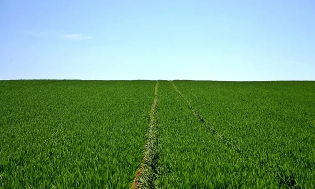 🌓 Yi Hwang vs. Yi Yi: Two or One? Seeing Creation from the Origin | Master Woo Myung | Santa Clara Meditation