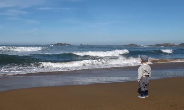 🌠 Man in the Eyes of Truth: Delusion Karma and the Living Truth | Master Woo Myung | Santa Clara Meditation