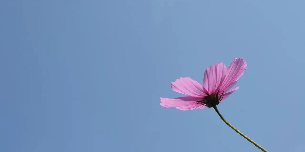 🌿 Jung and Shin: The Body and Mind of the Infinite Universe | Master Woo Myung | Santa Clara Meditation