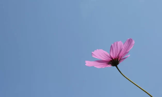 🌿 Jung and Shin: The Body and Mind of the Infinite Universe | Master Woo Myung | Santa Clara Meditation