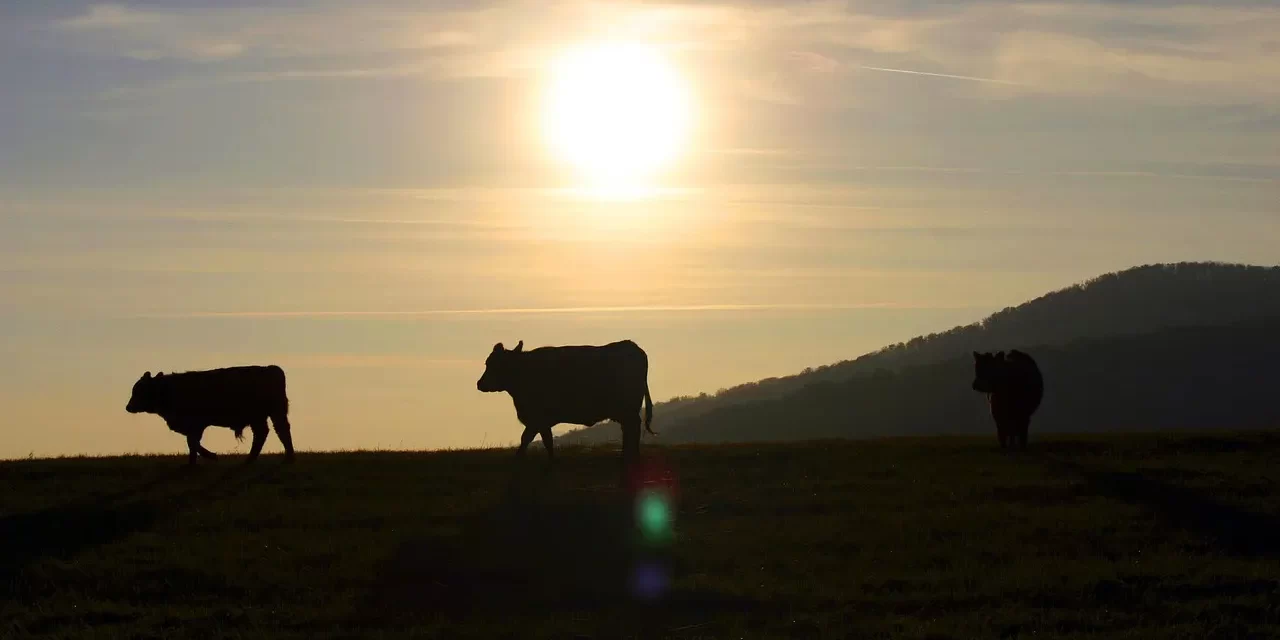 ✨ The Words of Saints: Prophecies of Human Completion | Master Woo Myung | Santa Clara Meditation