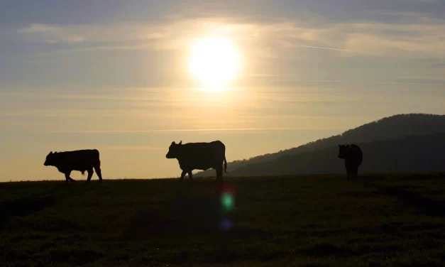 ✨ The Words of Saints: Prophecies of Human Completion | Master Woo Myung | Santa Clara Meditation