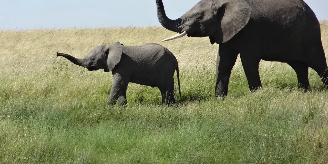 🌈 I Want to Find Unwavering Happiness and Truth: Leaving the False Mind World | Master Woo Myung | Santa Clara Meditation
