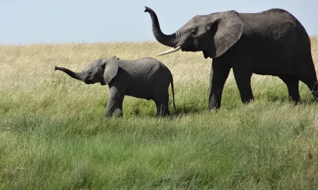 🌈 I Want to Find Unwavering Happiness and Truth: Leaving the False Mind World | Master Woo Myung | Santa Clara Meditation