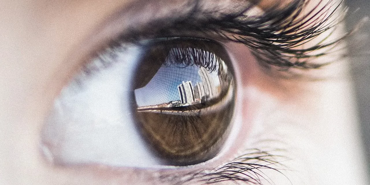 🧘 The Eyes Are the Mirrors of the Mind: Seeing from the Viewpoint of the Whole | Master Woo Myung | Santa Clara Meditation