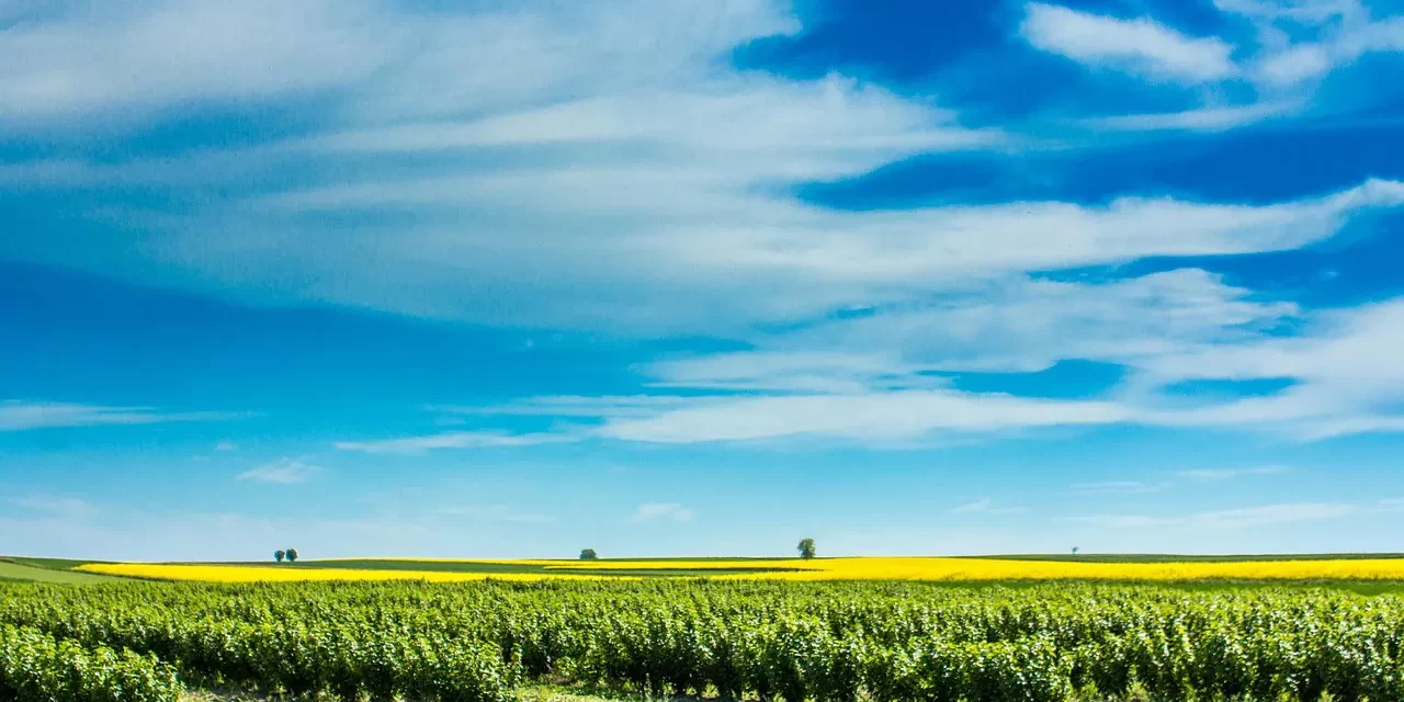 🌤 Where Is Heaven and Where Is the Land of Truth: Finding the Sky Within | Master Woo Myung | Santa Clara Meditation