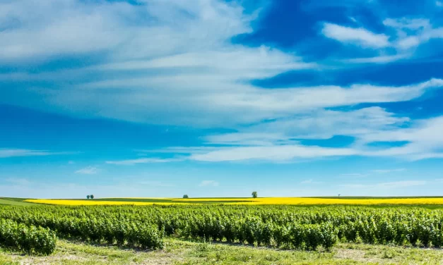 🌤 Where Is Heaven and Where Is the Land of Truth: Finding the Sky Within | Master Woo Myung | Santa Clara Meditation
