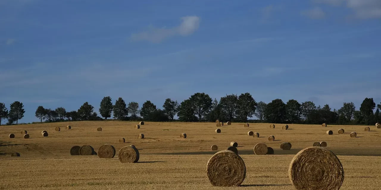 👑 What It Means to Become the King of One’s Kingdom When One Dies: Returning to the Origin | Master Woo Myung | Santa Clara Meditation